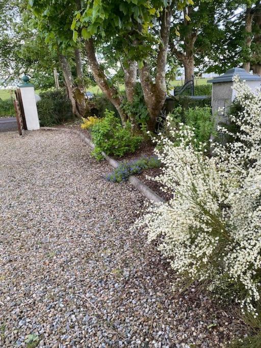 Breathnach Cottage Annex Knockleagha Ballina F26 D7E2 ภายนอก รูปภาพ